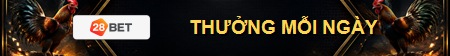 Thưởng mỗi ngày 28BET