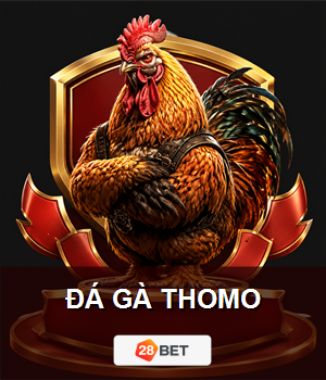 Đá gà Thomo 28BET