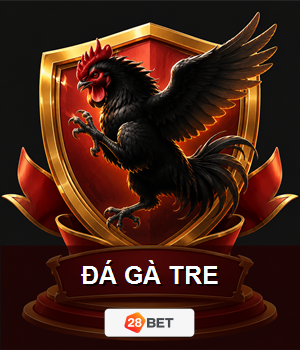 Đá gà tre 28BET