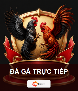 Đá gà trực tiếp 28BET